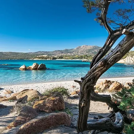 Hotel Mya Porto Cervo Hotell Porto Cervo
