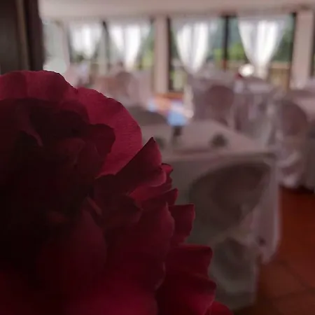 Hotel Mya Porto Cervo Hotell